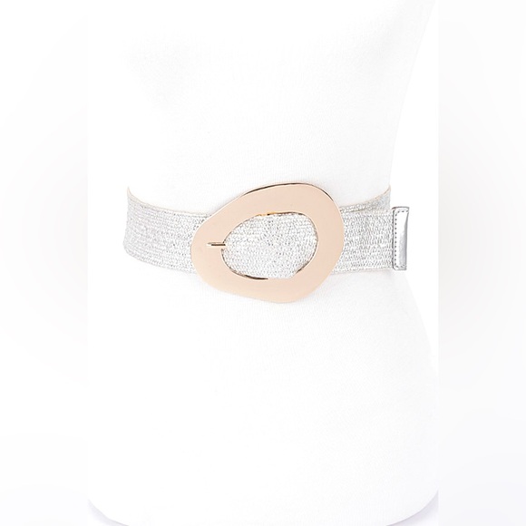 Plus Size Silver & Gold Oval Buckle Statement Belt - Picture 1 of 5